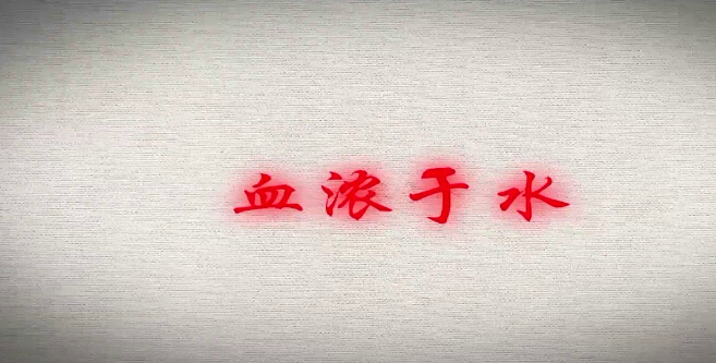 《反哺的女孩儿》策划书